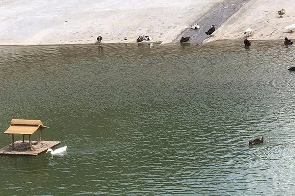 زیست پارک مشهد 4